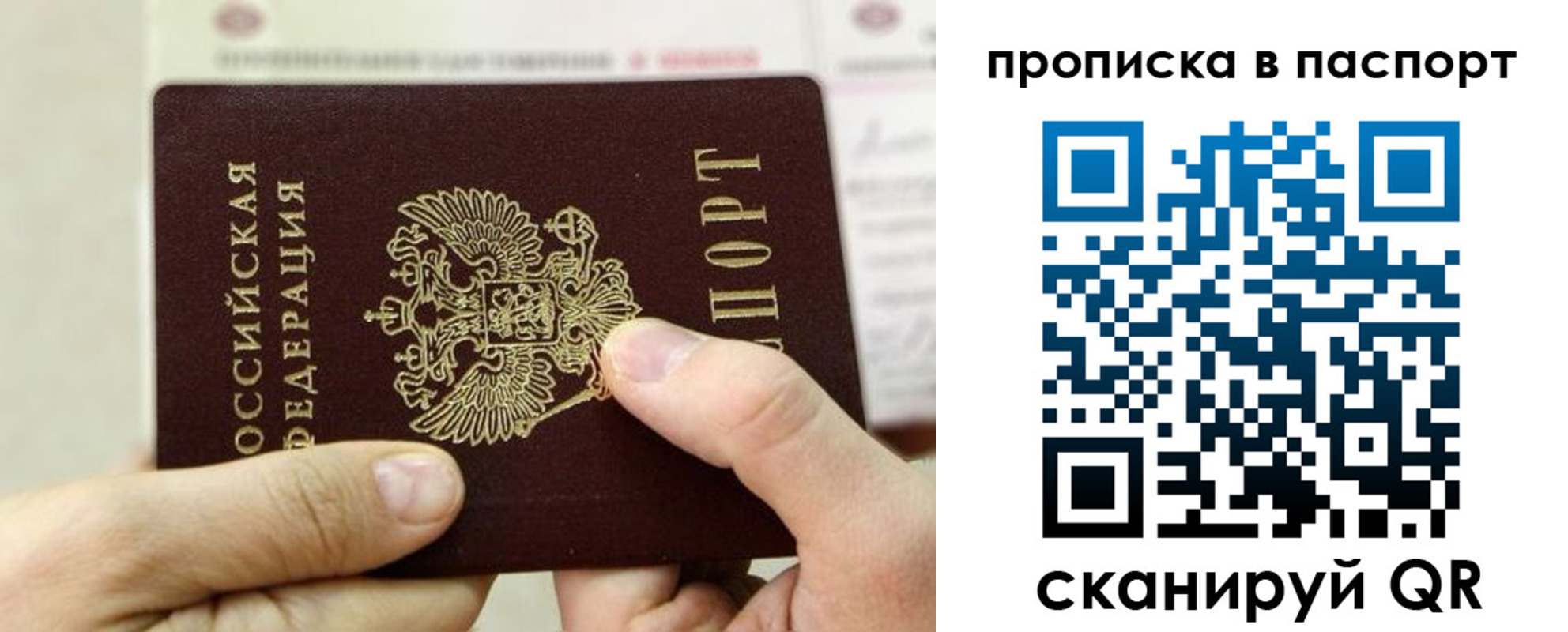 пропишу в квартире в Павловском Посаде